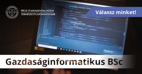 Gazdaságinformatikus BSc